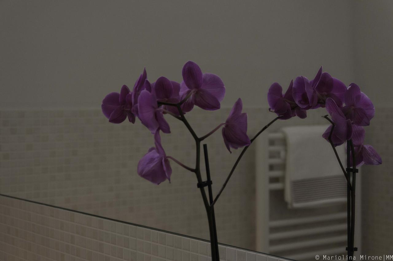 カターニア I Balconi Sul Castello Bed & Breakfast エクステリア 写真